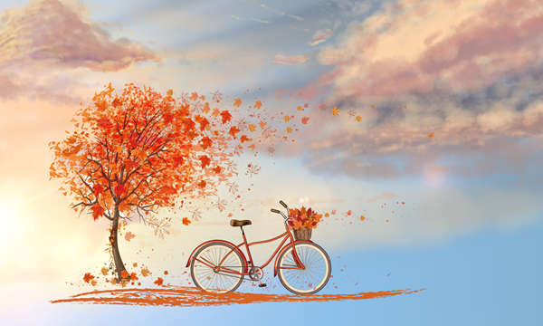 描写秋天景色的好句好段有哪些，好句好段积累！