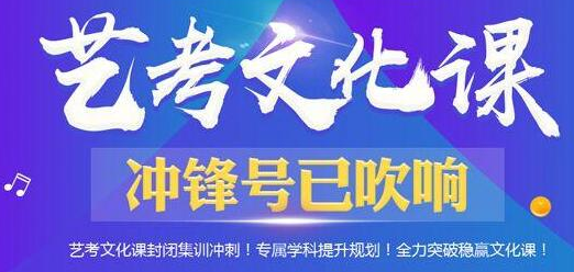 后卫寨的伊顿教育有没有艺考文化课的班？