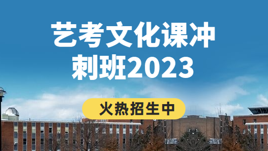 学大教育艺术生文化课，2023年西安艺考文化课冲刺！