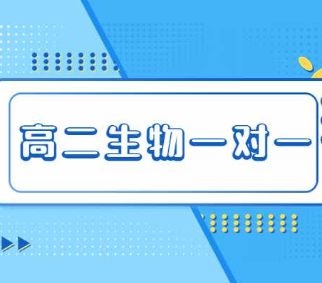 杭州学而思教育有高二生物一对一吗？整体的效果怎么样？