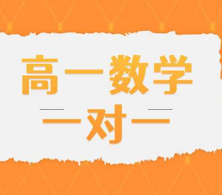 西湖区高一数学一对一哪家机构好？杭州海豚教育好不好？