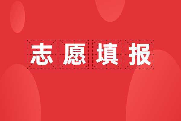 本科最低位次与志愿填报有哪些注意事项呢？