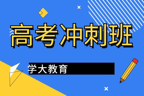 艺考生文化课的冲刺选哪所学校比较好?学大值得选择吗?