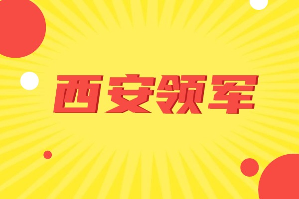 西安领军教育在新城区有点吗?师资怎么样?