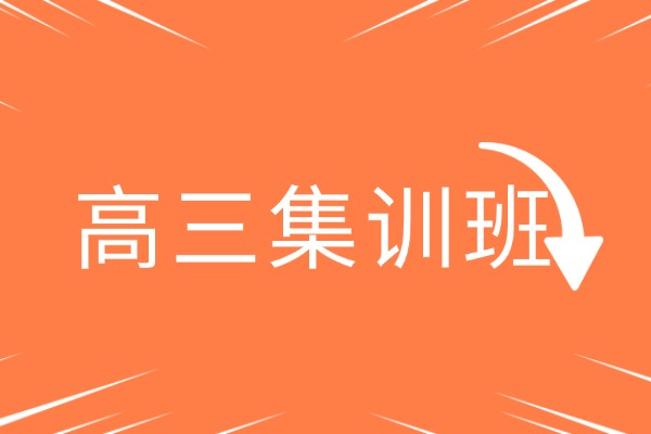 高三沖刺班有必要去嗎？學(xué)大高三沖刺班怎么樣？