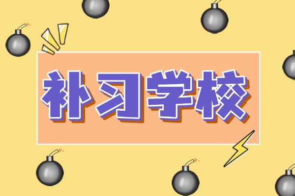 西安京师补习学校是艺考专业课和文化课都有吗？有没有只做文化课的补习学校？