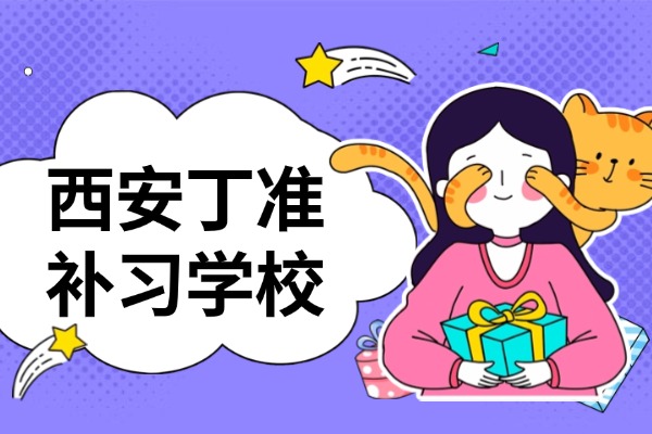 西安丁准培训学校官网是什么？课教的好不好？