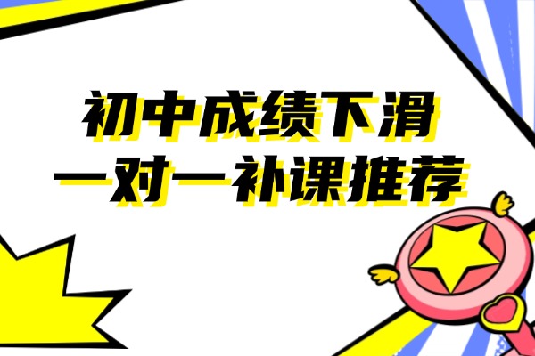 初中成绩下滑严重，有一对一补习推荐吗？