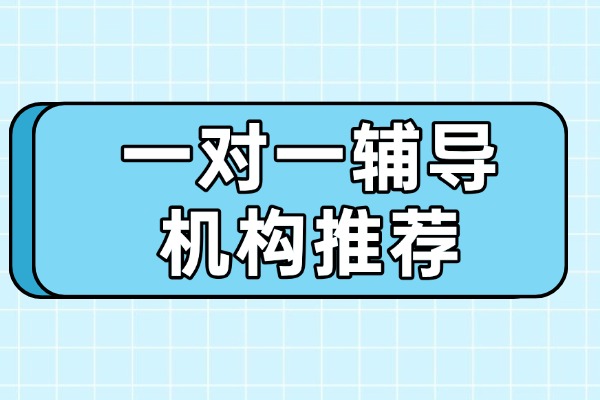 西安效果好的高中一对一辅导机构推荐