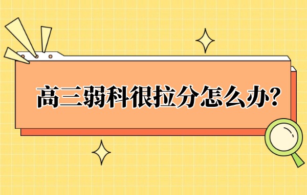 高三弱科很拉分怎么办？一对一辅导有用吗？