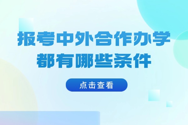 2025年报考中外合作办学都有哪些条件