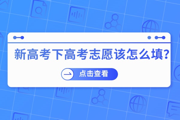 2025年新高考下高考志愿该怎么填？