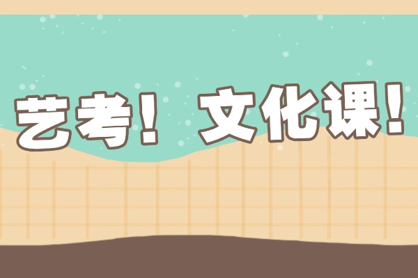 艺考生文化课学习有必要去机构吗？