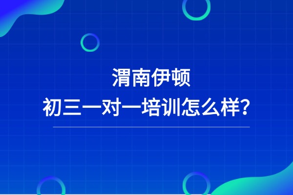 渭南伊顿初三一对一培训怎么样？一小时多钱？