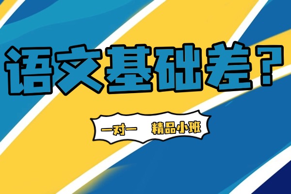 大曾語文西安教學(xué)適合語文特別差的孩子嗎？費(fèi)用情況？