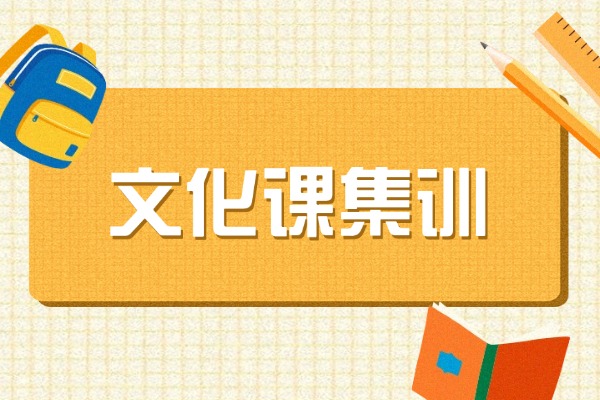 西安文化课集训有推荐的机构吗?博大怎么样？